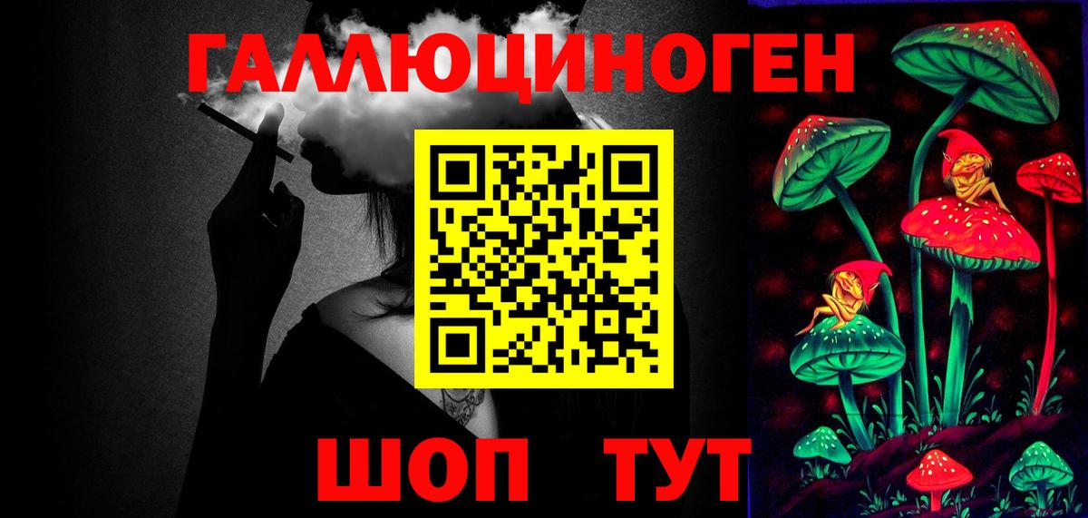 Псилоцибиновые грибы прущие грибы  Вход с VPN  Зима  сколько стоит  Псилоцибиновые грибы мухоморы 